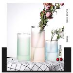 Fresh Dried Flower Hand Blown Decorative Glass Vases 25cm Height