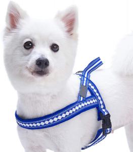 China Stylish Dog Harness Leash 3M Reflective Neoprene Soft Polyester Webbing factory