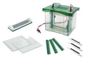 China Abundant Buffer Vertical Gel Electrophoresis Equipment CE / ISO Approved factory