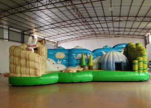 China Full Digital Printing Cartoon Kids Inflatable Bounce House Waterproof 8.615 X 4m factory
