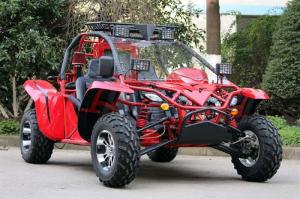 China 1100CC 4 Cylinder 4 Stroke Forest Road Adult Go Kart With Independent Suspension factory