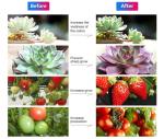 24v Grow Lights for Indoor Plants, Full Spectrum led Grow Light Plant Light for