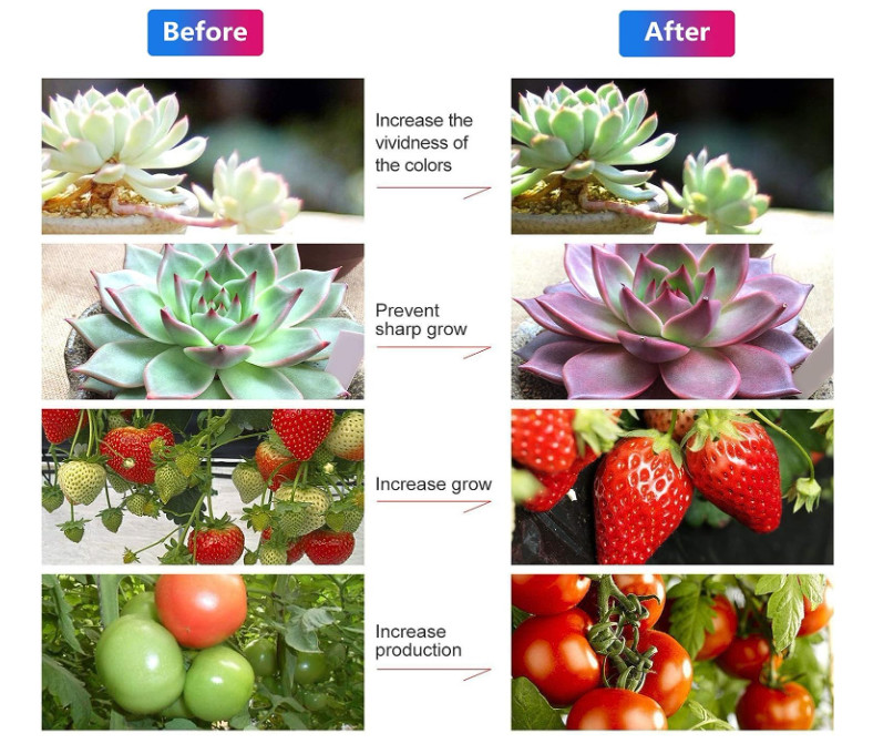 24v Grow Lights for Indoor Plants, Full Spectrum led Grow Light Plant Light for Indoor Plants with Red+Blue+Sunlike