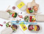 Pulp bowl, sugarcane take away fast food container with Lid,Compostable