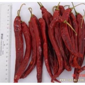 Block Shape Xian Chilli Seasoning Stemless Long Dry Red Chilli