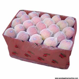 EPE Foam Sleeve Mesh Net Extruder