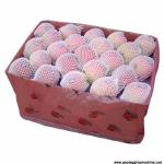 Supplying EPE Foaming Production Line for making EPE fruit net