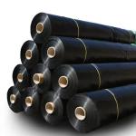 High Density Polyethylene Roughened Geomembrane for Fish Pond Liner and Landfill
