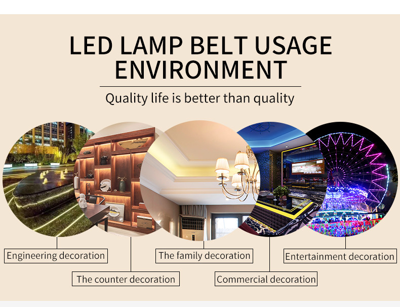 10MM pcb 48leds/m 9.6W 24VDC SMD 5050 LED Strip Light