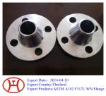 317L UNS S31703 1.4438 WN SO SW blind plate lap joint flange forging disc ring