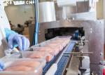 Packaging Inspection Equipment For PP Plastic Disposable Food Containers