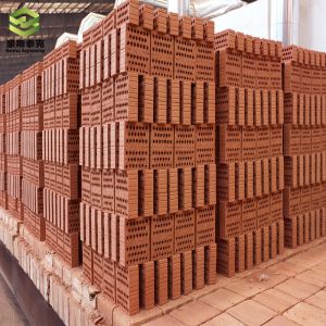 China Advanced Customizable Fired Clay Brick Making Machine Automatic on sale