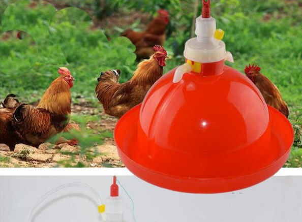 Plasson Automatic Broiler Poultry Water Dispenser