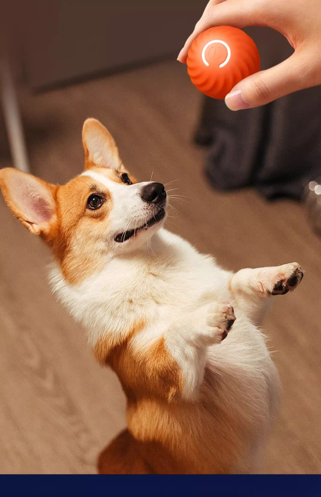 Pet ABS Silicone Material Self Moving Dog Training Kitten Toy for Indoor Entertainment