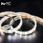 Outdoor LED Light Strip 110V 220V Double Rows White and Warm White Dual Color