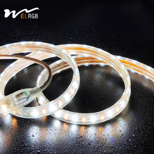 Outdoor LED Light Strip 110V 220V Double Rows White and Warm White Dual Color