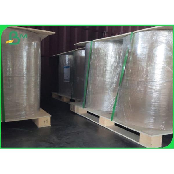 100% biodegradable PLA Coated paper cup base Paper 210g + 26g 