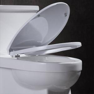 China Heritage American Standard One Piece Elongated Toilet Soft Closing Seat 29in factory