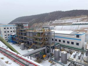 China Ringelman Blackness 1 Customized Hospital Waste Incinerator For Waste Management factory