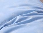 50x70cm Disposable Cotton Down Pillows