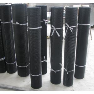 China Expanded wire screening,plastic coated expanded metal,Royal manufacturer on sale