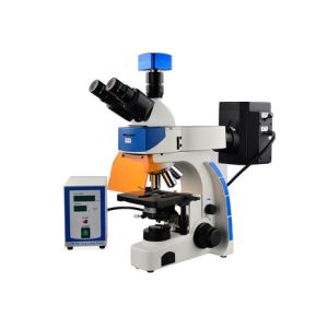 China Trinocular Biology Lab Microscope 40X 100X Epi Fluorescence Microscope factory