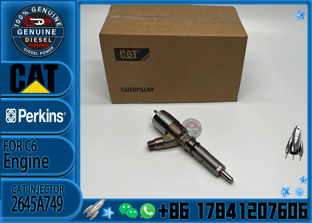 Common Rail Injector 2645A743 2645A749 for 1106D-E66TA Engine