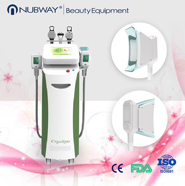 China Factory Direct Sale cryo cryolipolysie machine factory