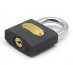Weather Proof Cast Iron Padlock Heavy Duty Customizable