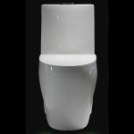 12 Inch Rough In Round Siphonic Dual Flush Toilet Bowls S Trap Water Closet