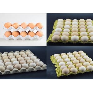 High Speed Pulp Egg Tray Making Machine , Egg Tray Manufacturing Unit