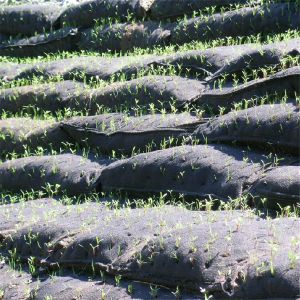 Environmental Projects Nonwoven Geotextile Geobag With Seeds
