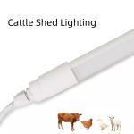 Dimmable LED Poultry Light 9W-25W, 50000 Hours, 120-160LM/W, 180degree, IP65/67