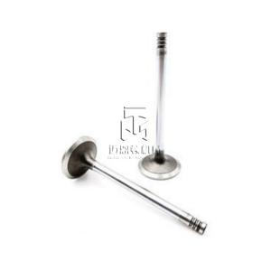 China Intake Valve 20791517 04283376 04254284 04254934 4283376 4254284 4254934 0428 3376 0425 4284 0425 4934 for DEUTZ BF4M2012 D4D BF6M2012 D6E factory