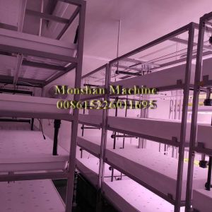 Movable Microgreens Grow Rack Indoor Vertical Farm Environment Friendly
