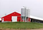 Anti Corrosion Metal Barn Workshop Prefab Chicken Houses Customization