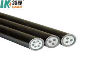China MI Mineral Single Double Insulated Cable Heat Trace 1MM 2MM ISO9001 factory