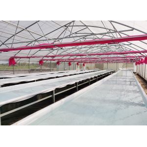 Durable Nutrient Recycling Deep Water Grow System Recirculating Dwc System