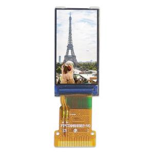 China 0.96Inch IPS 80*160 Industrial Touch Screen Panel factory