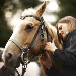 Professional Polish Finish Loose Ring Horse Mouth Bit for Equestrian Enthusiasts
