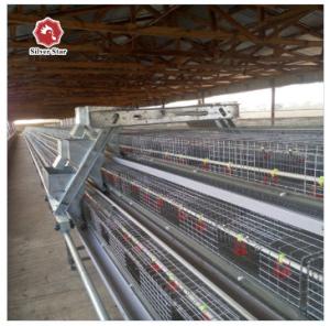 China Domestic Bird For Hens Chicken Cage Laying Eggs Domestic Bird For Hens factory