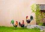 Decorative Metal Rooster Decor Outdoor Metal Rooster Yard Art