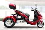 Riverbed Forest Road 4 Stroke Gas 50cc Trike Scooter