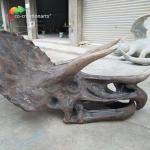 ISO water repellent Dinosaur Skeleton Replica Fossil Life Size Triceratops Skull