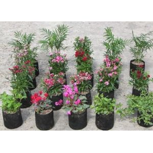 Polypropylene 15L Plastic Grow Bags 24cm Height Plastic Planter Bags