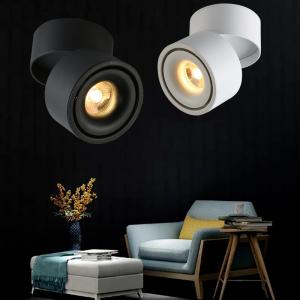China AMS 18Ｗ　Ceiling Adjustable Led Track Lighting Heads No Mercury 148mm Height factory