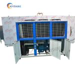 Customized Tunnel Fast Freezing Machine for Fruit and Vegetable Seafood Poultry
