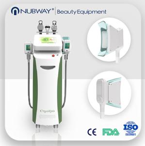 China Cryolipolysis Slim Machine Fat Freezing Machine NBW-C325 / Fat Freeze factory