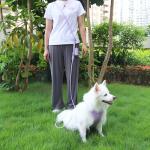Macaron PVC Slip Lead Dog Leash Hands Free Slip Lead Collar Waterproof