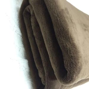 China Super Soft Solid Coral Polyester Fleece Blanket Throw Blanket Anti Pilling High Density factory